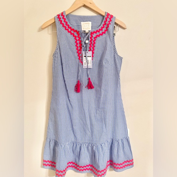 NWT - STS Sail to Sable Pink Blue Embroidered Tiered  Gingham Tunic Dress Sz  XS - Picture 1 of 9